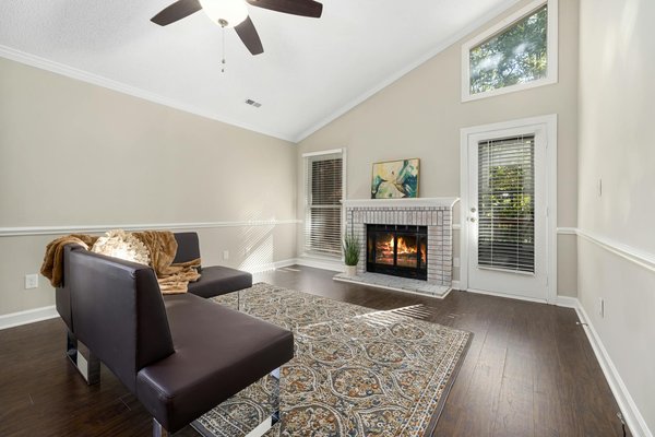 Top conseils pour éliminer les punaises de lit rapidement