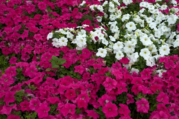 Bricolage : astuces pratiques pour vos projets diy