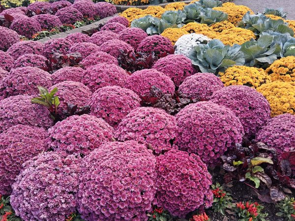 Rénovation d'appartement à lyon : optimisez votre espace de vie